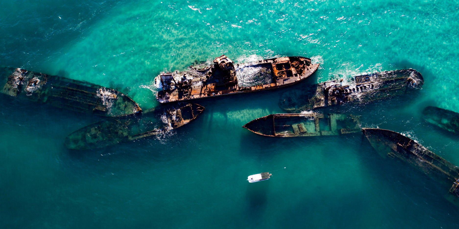 Brisbane to Moreton Island: Just a 1.5 Hour Cruise from the River