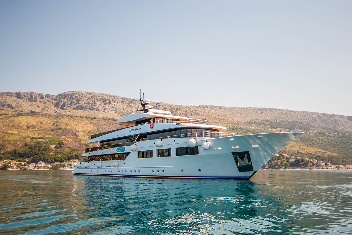 BLACK SWAN - Image 1